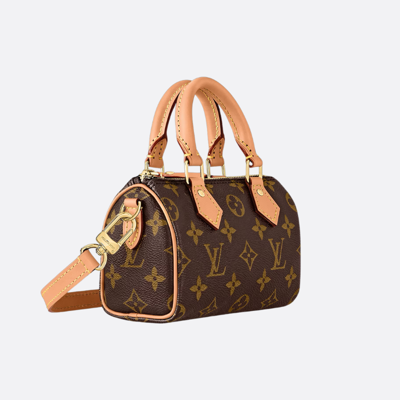 LV Speedy Nano Bag