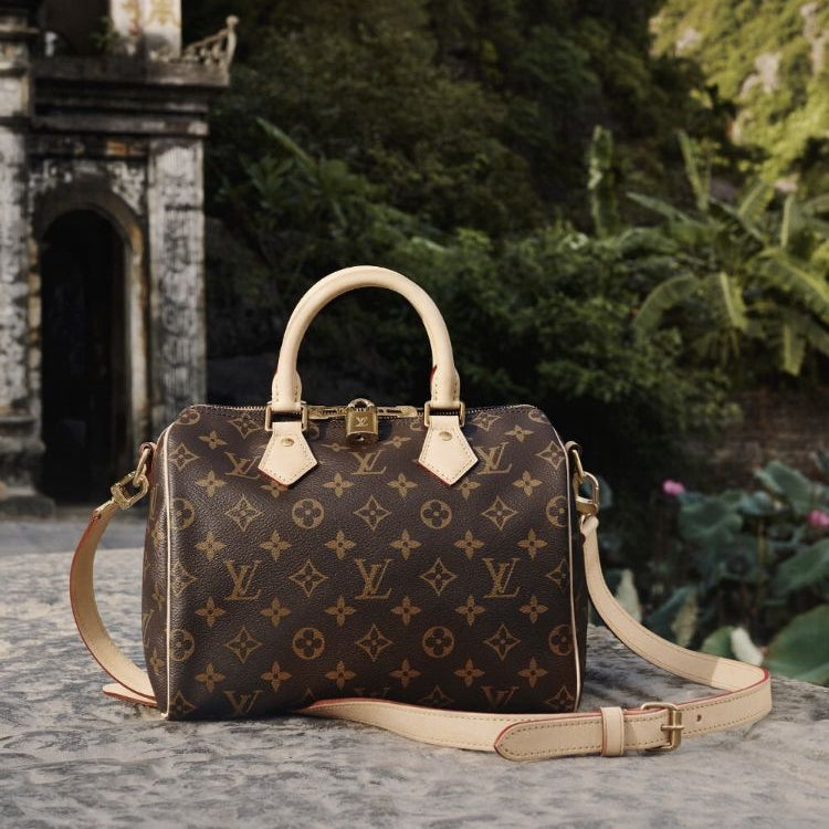 LV Speedy Bandoulière 30 Bag